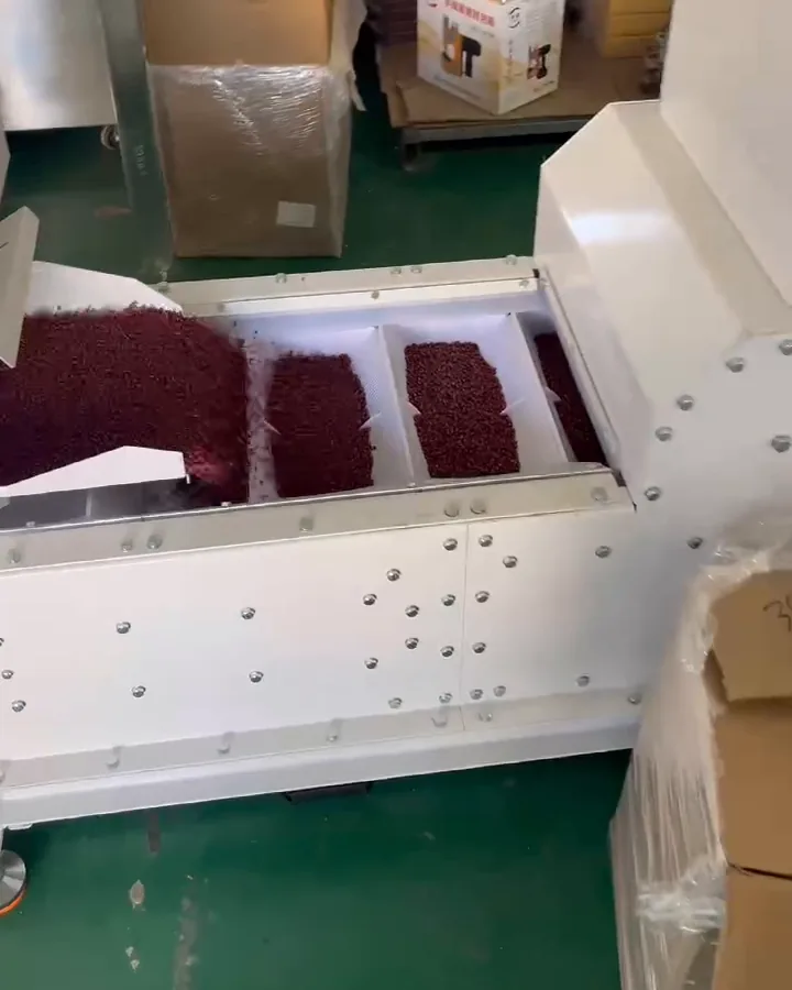 Red beans carried in level conveyor buckets