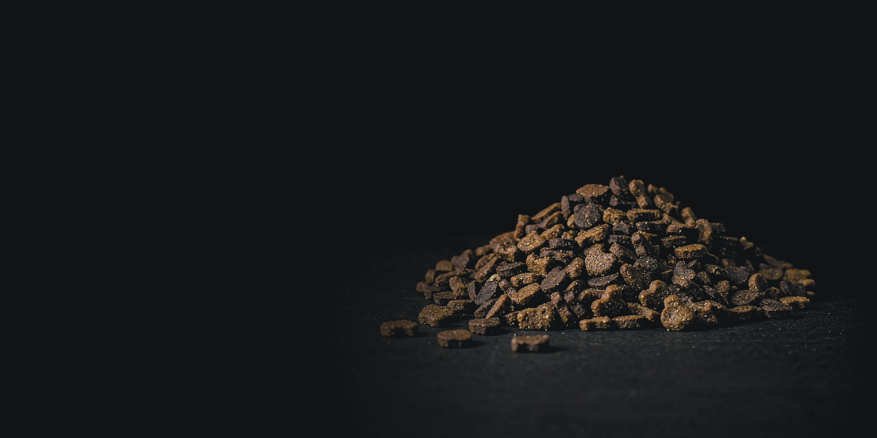 Heap of dry pet food kibble